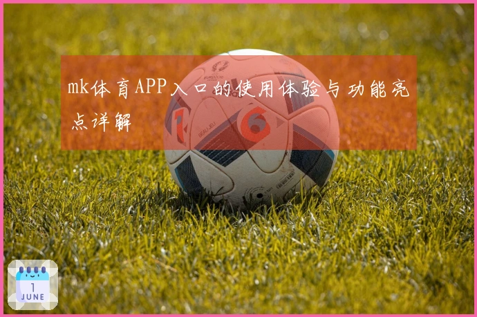 mk体育APP入口的使用体验与功能亮点详解