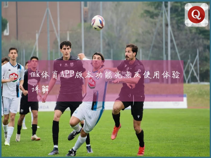 mk体育APP版本功能亮点及使用体验详解