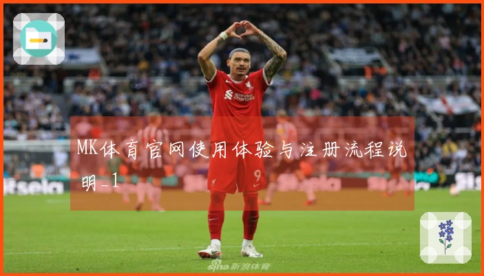 MK体育官网使用体验与注册流程说明_1