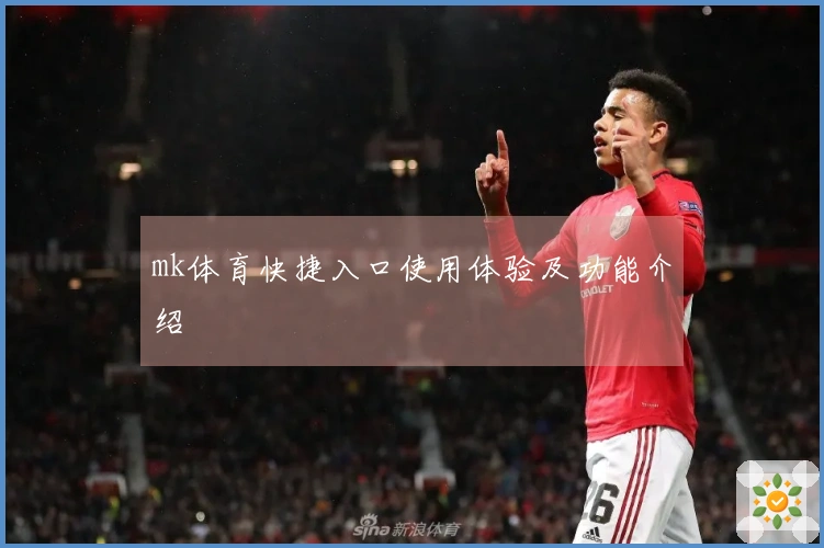 mk体育快捷入口使用体验及功能介绍